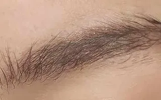 Cejas después del tratamiento de microblading y shading